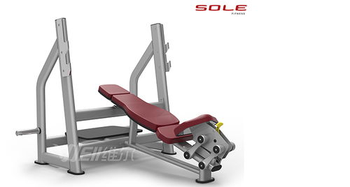 重慶桑拿房與健身器材選購指南 維爾健身器材等優質商家推薦